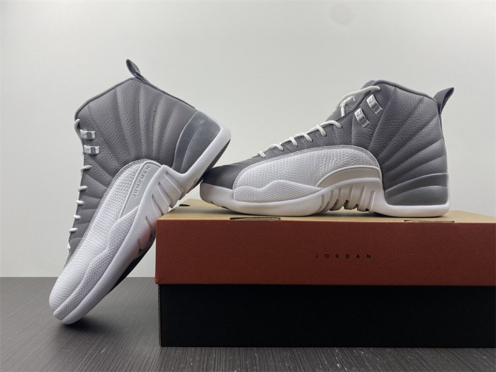 Air Jordan 12 STEALTH CT8025-610