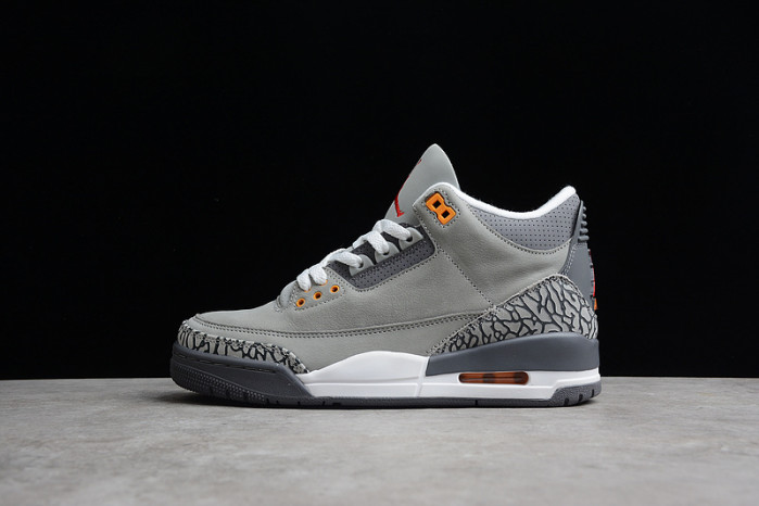Air Jordan 3 "Cool Grey"(2021) CT8532-012