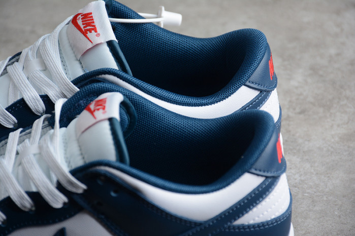 NIKE Dunk Low "Valerian Blue DD1391-400