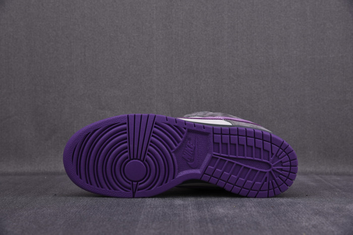 NIKE DUNK SB LOW PURPLE PIGEON 304292-051