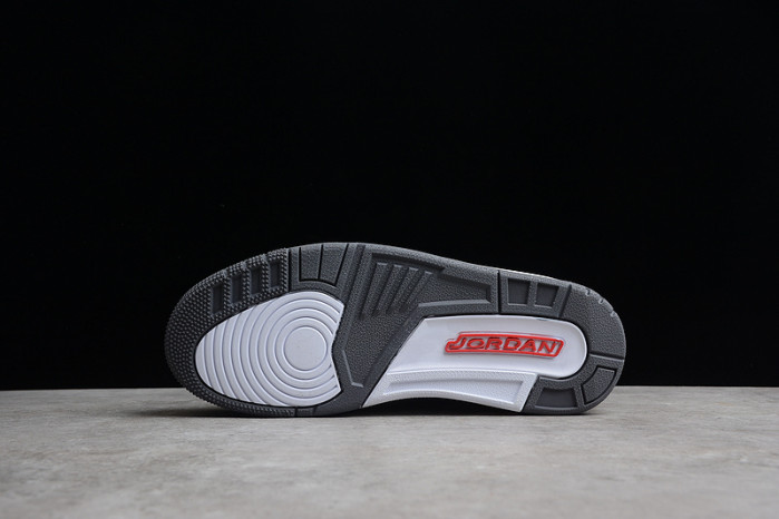 Air Jordan 3 "Cool Grey"（2021） CT8532-012