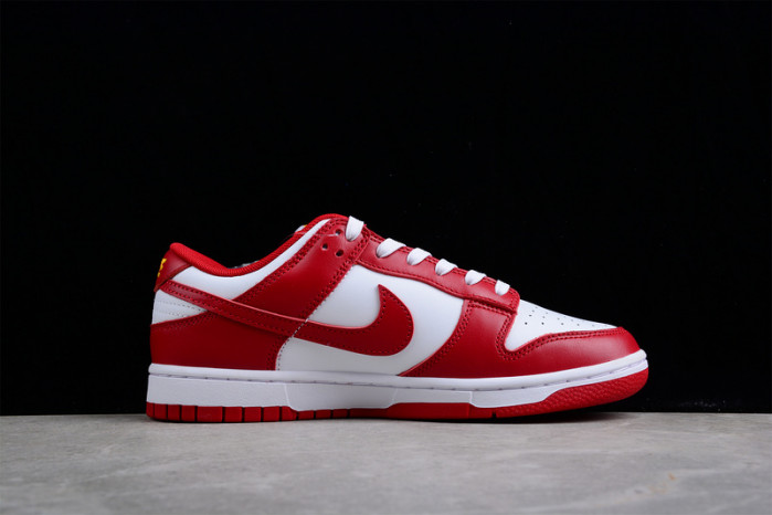 NIKE Dunk Low SG DD1391-602