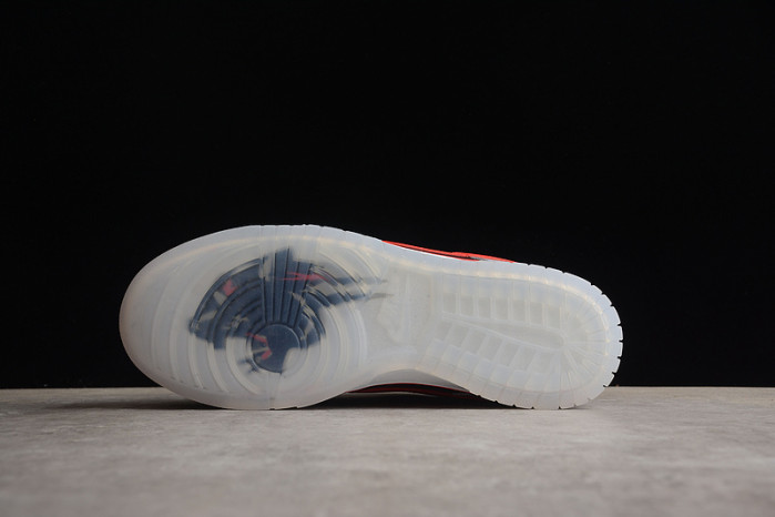 Nike Dunk Low "CAU" DR6189-001